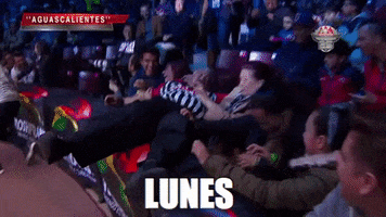 wrestling monday GIF by Lucha Libre AAA