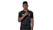 football mexico Sticker by MiSelecciónMX