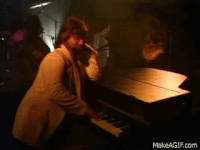 toto GIF