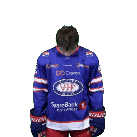 Gabriel Koch Sticker by VIF Hockey