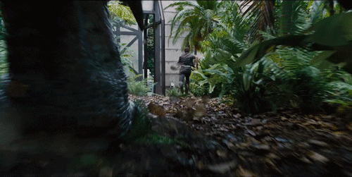 chris pratt GIF by Dianna McDougall