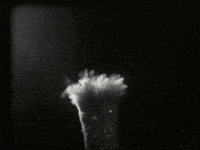 black and white vintage GIF by Okkult Motion Pictures
