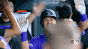 Major League Baseball Sport GIF by MLB