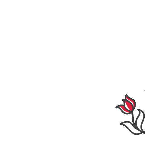 Tea Istanbul Sticker by Rixos Hotels