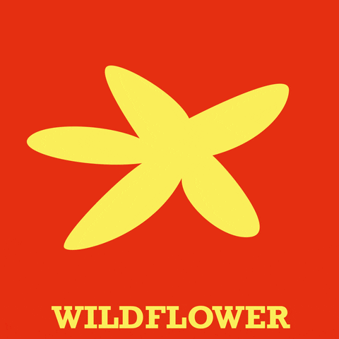 EbeltoftGaardbryggeri wildflower ebeltoft wildfloweripa GIF