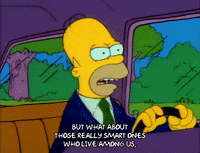 Season 1 GIF by The Simpsons