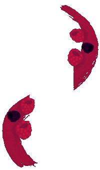 Art Design Sticker by Bombay Sapphire