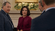 selina meyer amy brookheimer GIF by Veep HBO