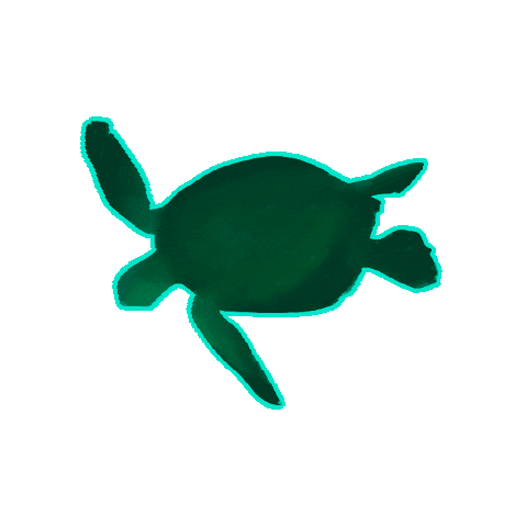 MarieWelke3 giphygifmaker swimming turtle Sticker
