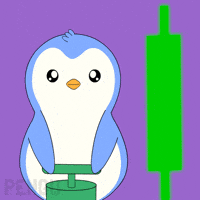 Crypto Hype GIF by Pudgy Memez