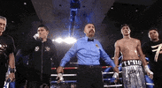 toprank fight boxing fighting espn GIF