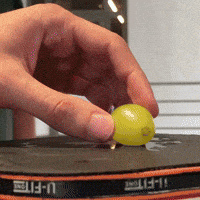 Snack Tafeltennis GIF by Perspectief
