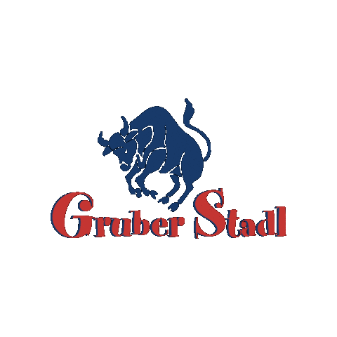 Ski Austria Sticker by Cinderella Spa & Resort