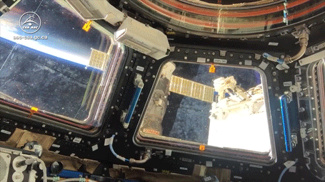 GIF by Agence spatiale canadienne