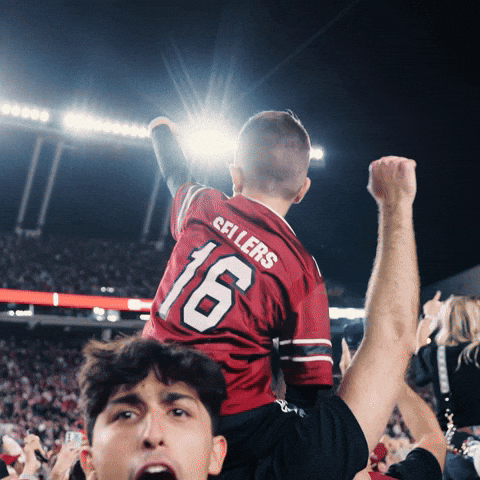 South Carolina Football GIF by Gamecock Athletics