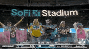 National Football League GIF by NFL