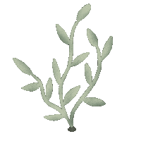 juliahonnet nature flower green plant Sticker