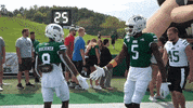 OhioBobcats football cats ncaa college football GIF