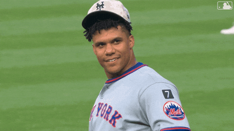 Juan Soto Baseball GIF by New York Mets