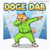 Shiba Inu Wow GIF by Doge Pound