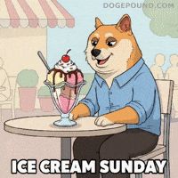 Happy Ice Cream GIF by Doge Pound