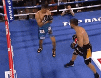 toprank fight boxing fighting espn GIF