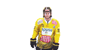 Celebration Goal Sticker by Vienna Capitals