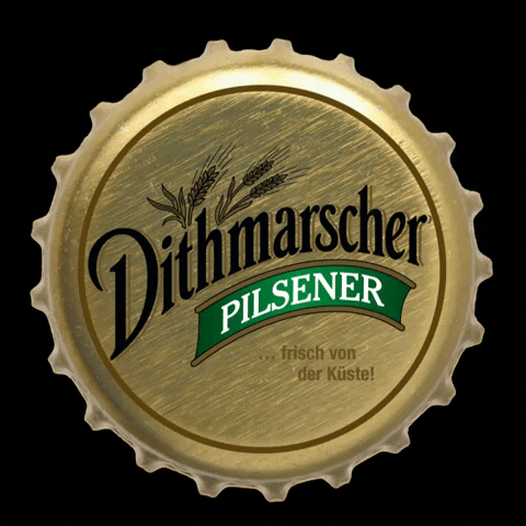 dithmarscher_brauerei giphygifmaker party beer cheers GIF