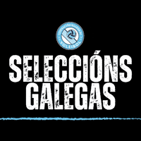 Volei Galego GIF by Federación Galega de Voleibol