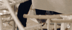 2018 nfl football GIF by NFL