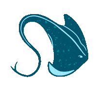 StingrayDivers fish colombia diving raya Sticker