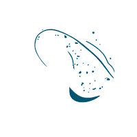 StingrayDivers fish colombia diving raya Sticker