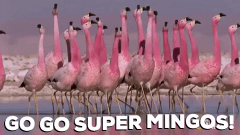 https://media1.giphy.com/media/v1.Y2lkPTc5MGI3NjExcGlrdTd1MDZuY3U5Y2h6c3cyM2R3aG12djl5OGlqMmk4c3B2ZmNmNyZlcD12MV9pbnRlcm5hbF9naWZfYnlfaWQmY3Q9Zw/idqa2k5xfkiztiwbnD/giphy.gif