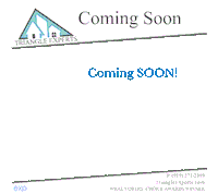 Trex1 Sticker by Triangle Experts