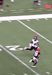 Celebrate Baltimore Ravens GIF