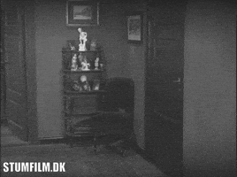 Silent Film 1920S GIF by Det Danske Filminstitut
