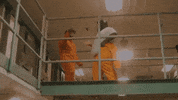 Whats Up Prison GIF by Bfb Da Packman