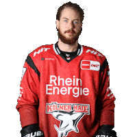 Hockey Point Sticker by Koelner Haie