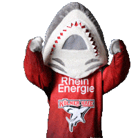 Hockey Nhl Sticker by Koelner Haie