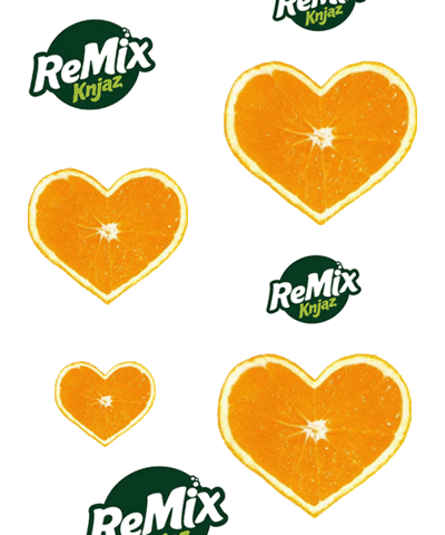 ReMixKnjaz giphyupload 100 remix sok Sticker