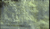 Jmz GIF
