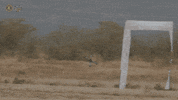 Drone Solar Flare GIF by Rising Sun FPV