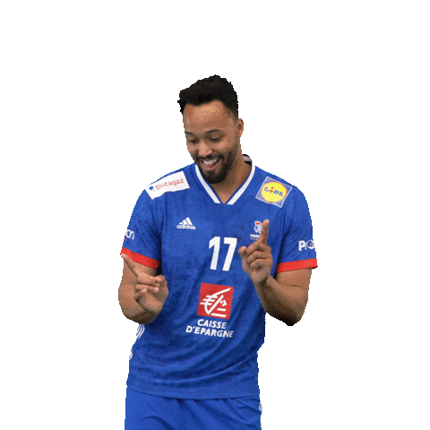 Ffhandball Sticker by Fédération Française de Handball