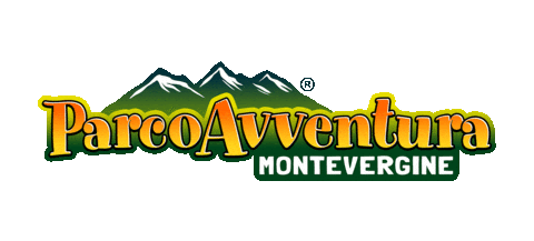ParcoAvventuraMontevergine giphyupload zipline adrenalina avellino Sticker