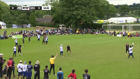 flikulti ultimate frisbee flik GIF