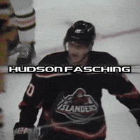 Nhl Hudson GIF
