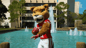 houstoncougars houston sasha gocoogs shasta GIF