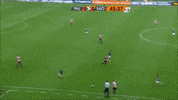 cobertura dudu GIF by SE Palmeiras