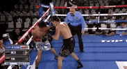 toprank fight boxing fighting espn GIF