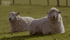 GIF by The Great British Bake Off